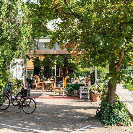 Hotel Pöker Meppen Exteriör bild